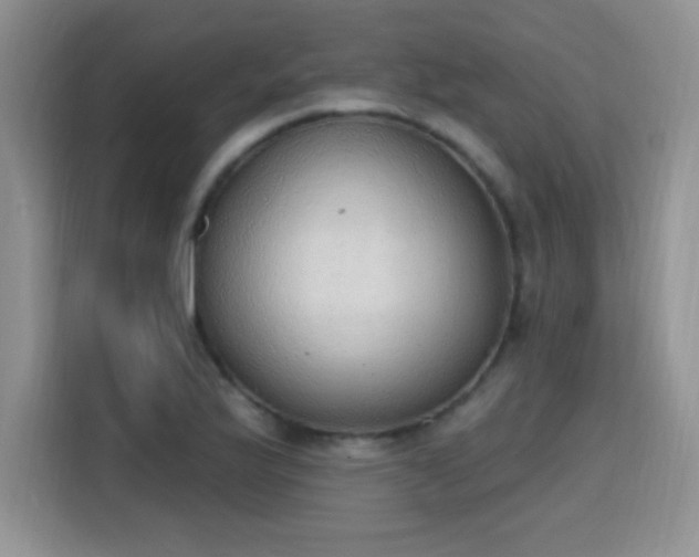 X0000115421175200911101625