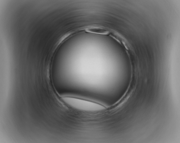 X0000115421177200911101625