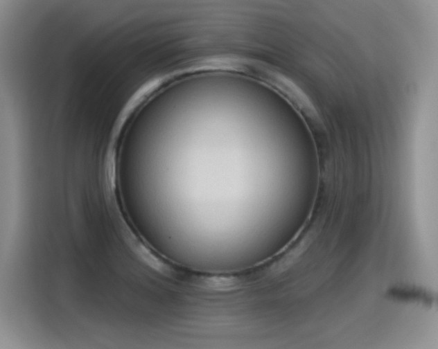 X0000115421180200911101625