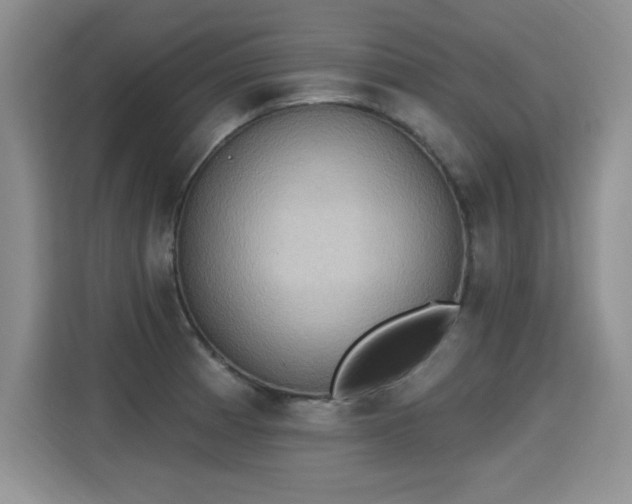 X0000115421185200911101625