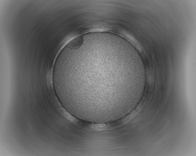 X0000115421186200911101625
