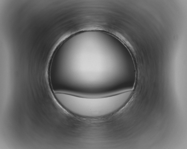 X0000115421189200911101625