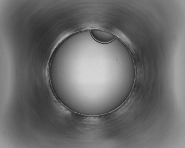X0000115421190200911101625