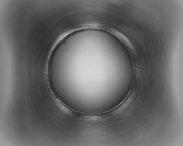 X0000115421192200911101625