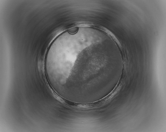 X0000115421194200911101625