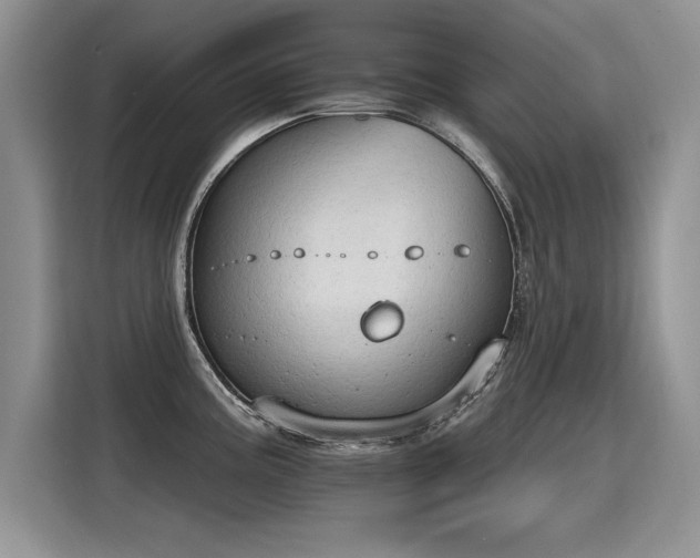 X0000115421195200911101625
