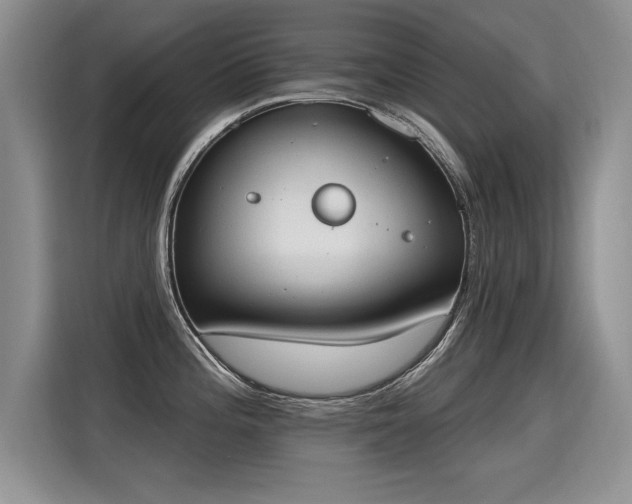 X0000115421196200911101625