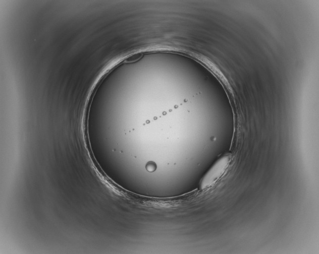 X0000115421197200911101625