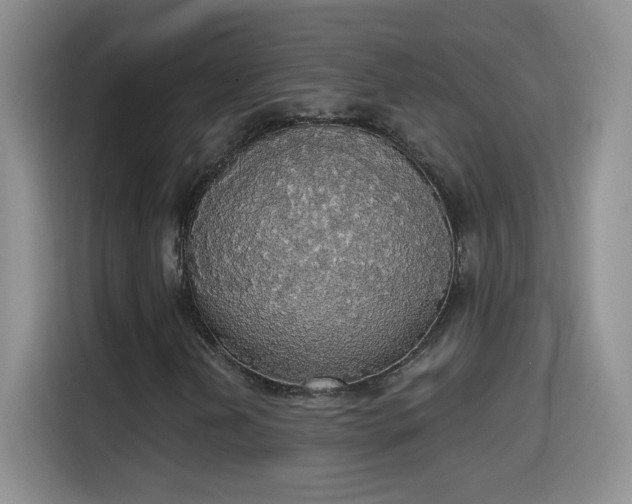 X0000115421202200911101624