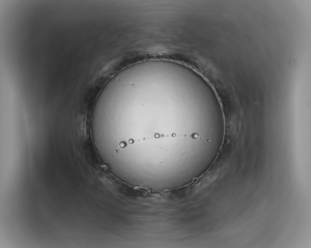 X0000115421205200911101625