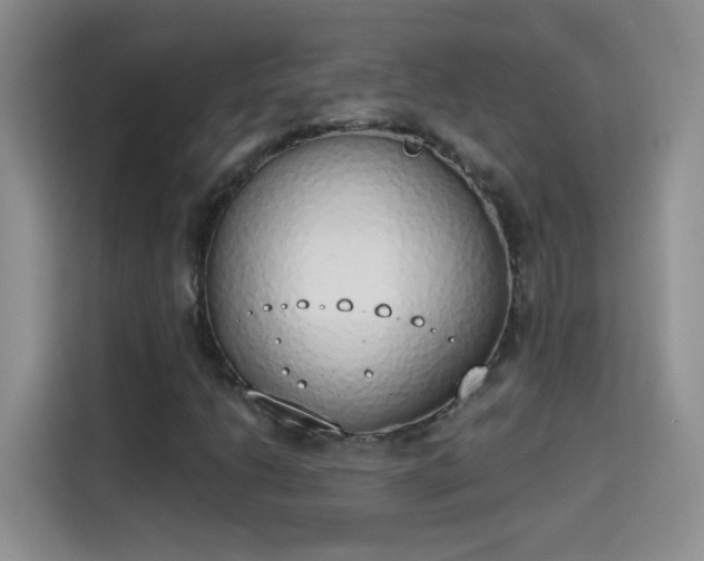 X0000115421206200911101625