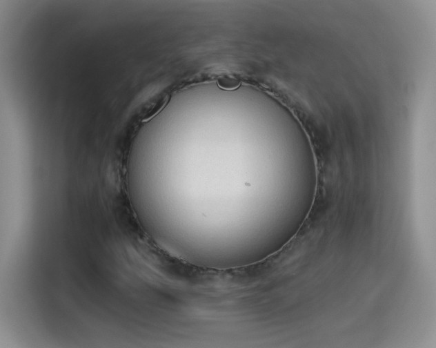 X0000115421207200911101625