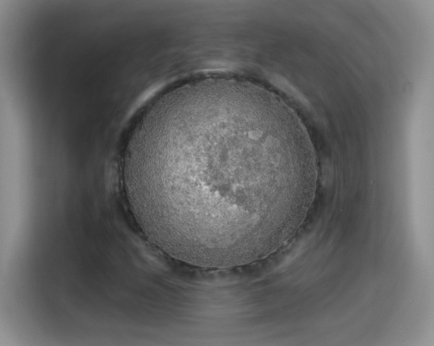 X0000115421208200911101625
