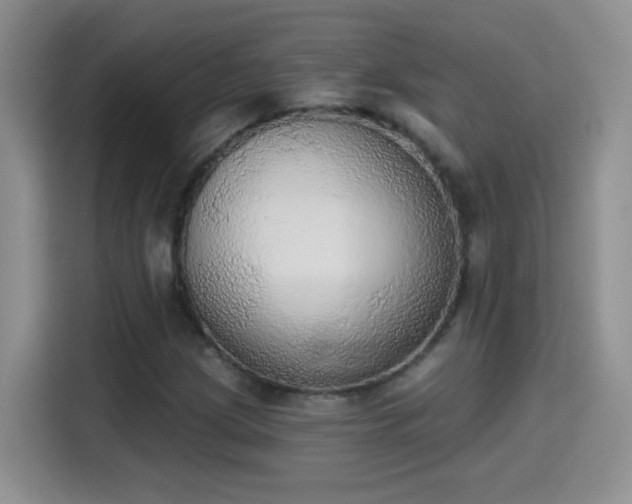 X0000115421209200911101625