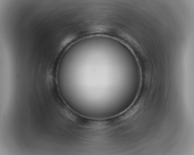 X0000115421210200911101625