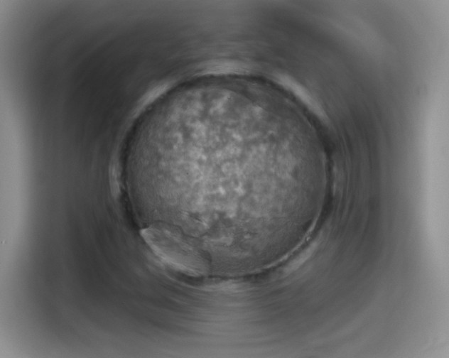 X0000115421213200911101625