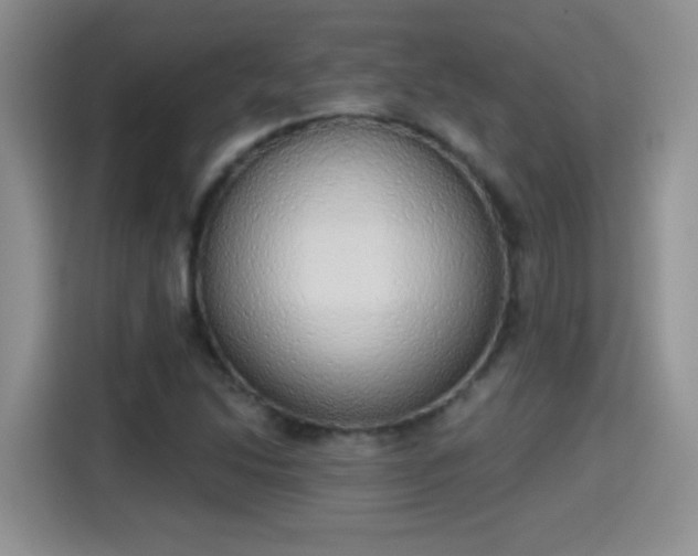 X0000115421214200911101625