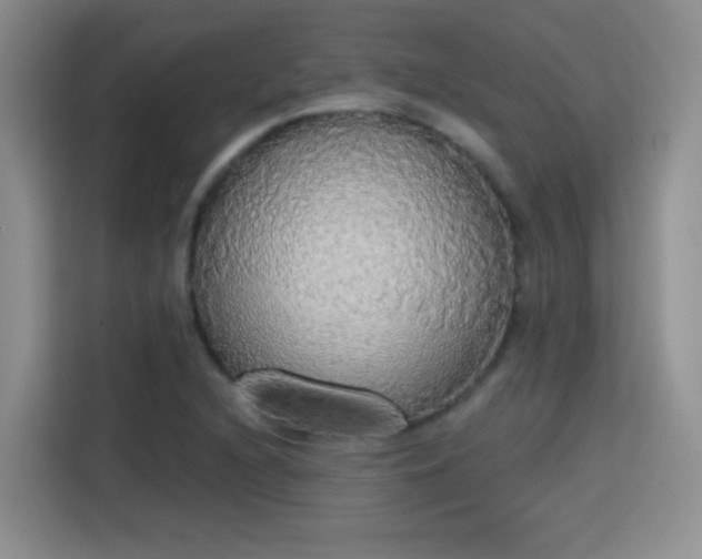 X0000115421216200911101625