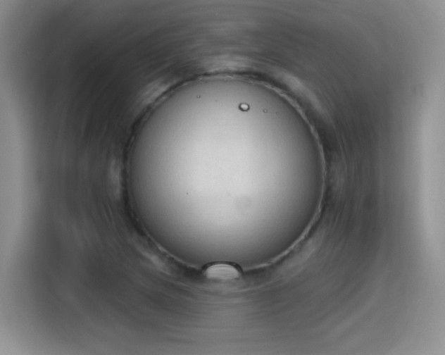 X0000115421217200911101625