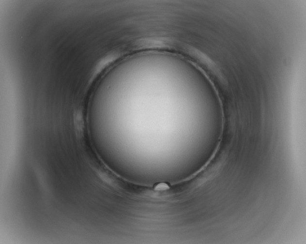 X0000115421218200911101625