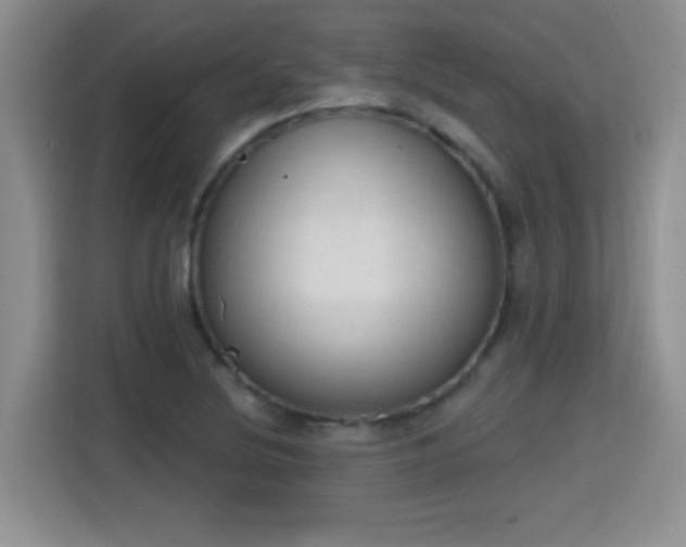X0000115421220200911101625