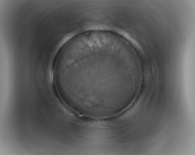 X0000115421221200911101625