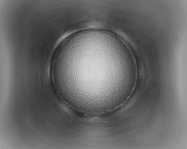 X0000115421222200911101625
