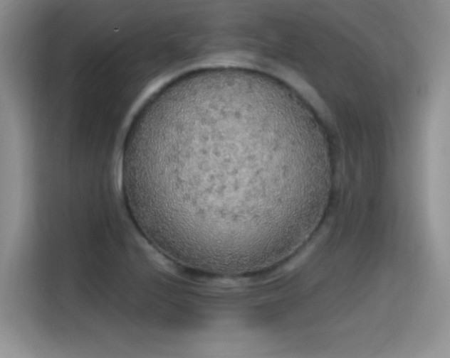 X0000115421224200911101625