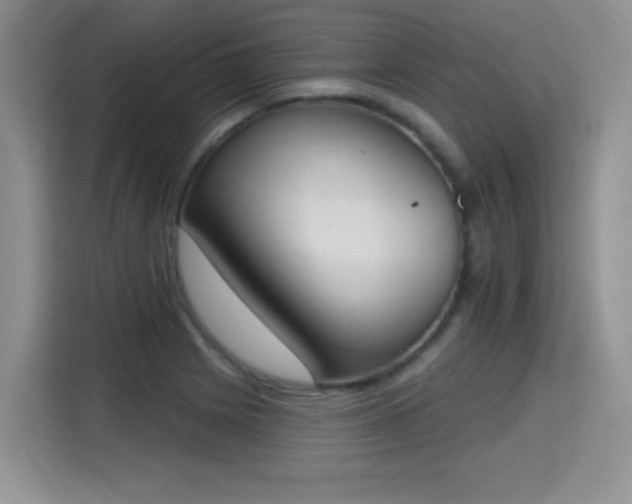 X0000115421225200911101625