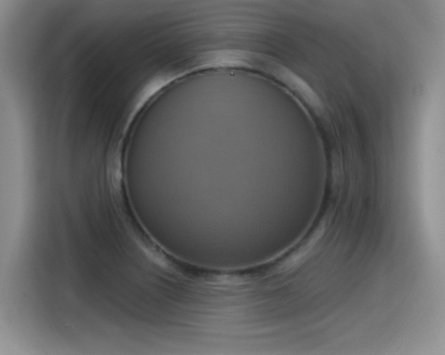 X0000115421226200911101625