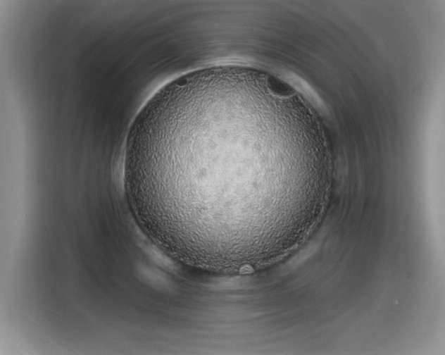 X0000115421228200911101625