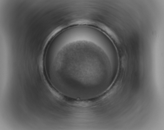 X0000115421229200911101625