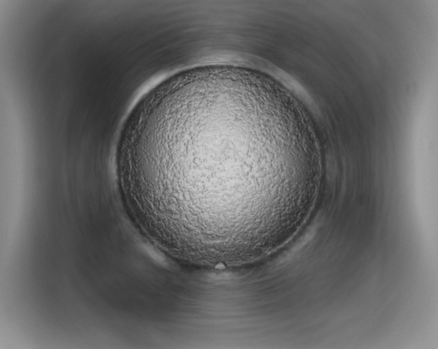 X0000115421230200911101625