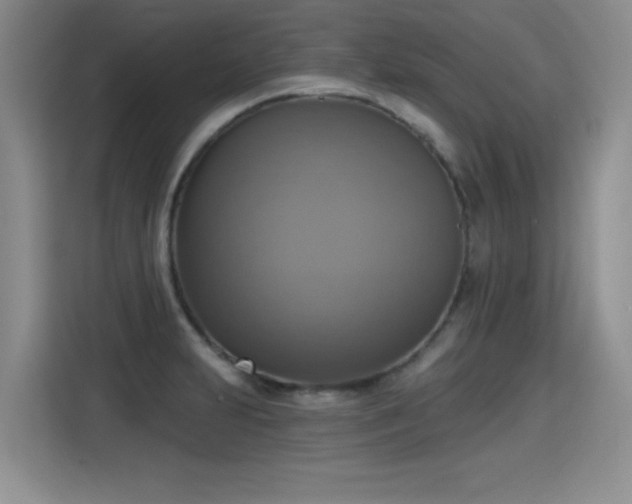 X0000115421231200911101625