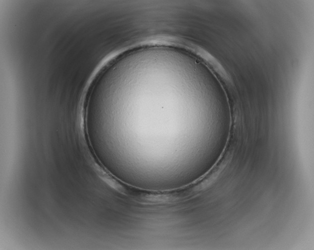 X0000115421232200911101625