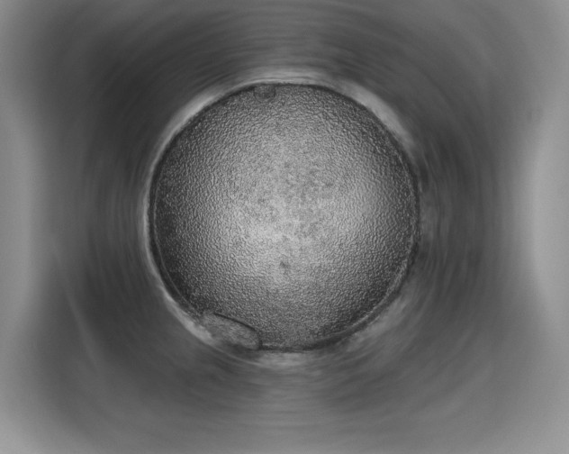 X0000115421237200911101625