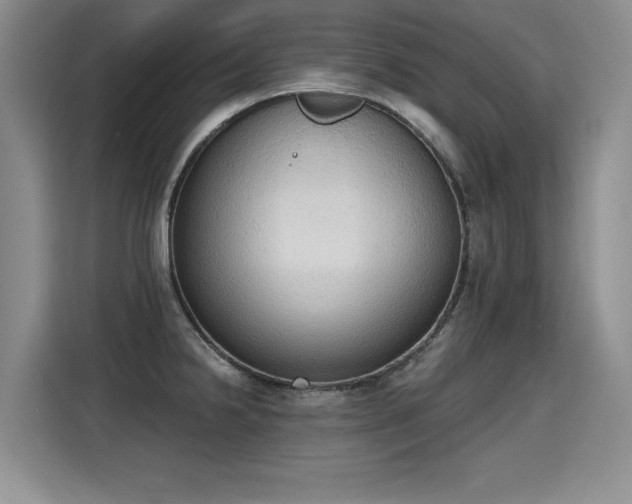 X0000115421238200911101625