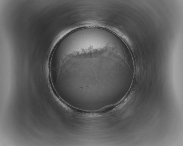 X0000115421239200911101625