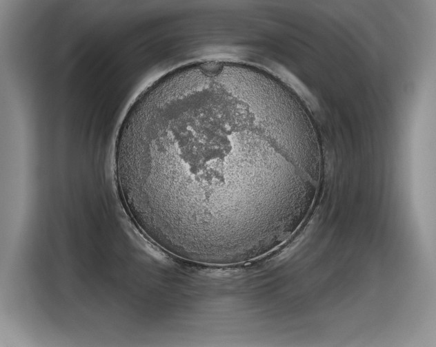 X0000115421240200911101625