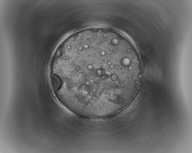 X0000115421243200911101625