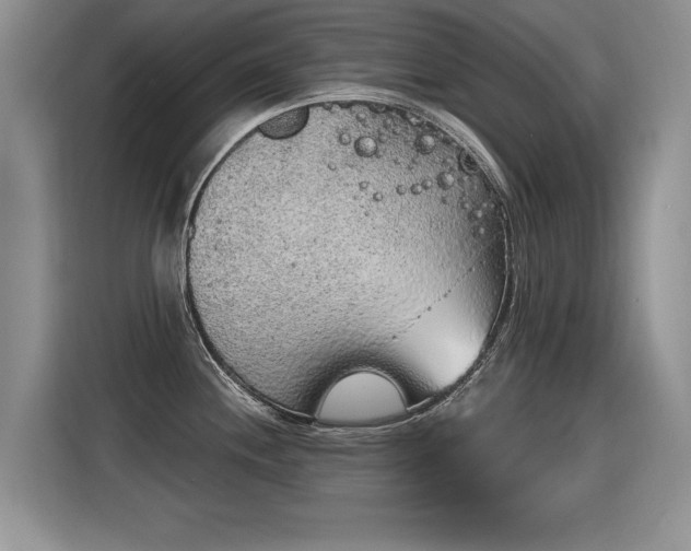 X0000115421244200911101625