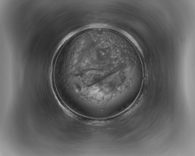 X0000115421245200911101625