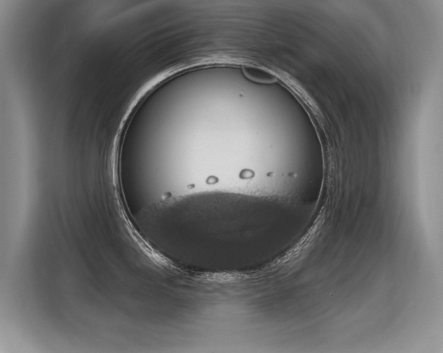 X0000115421246200911101625