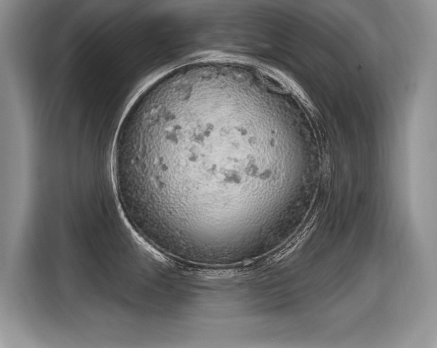 X0000115421247200911101625