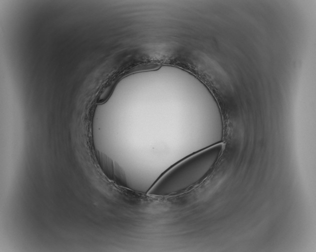 X0000115421249200911101624