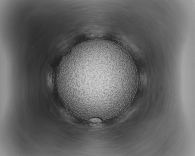 X0000115421250200911101624