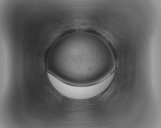 X0000115421252200911101624