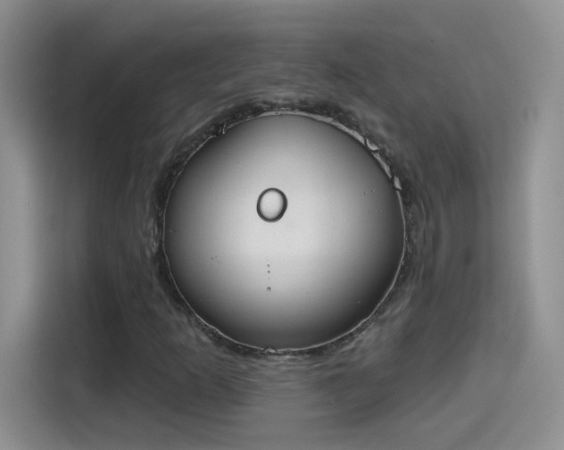 X0000115421253200911101624