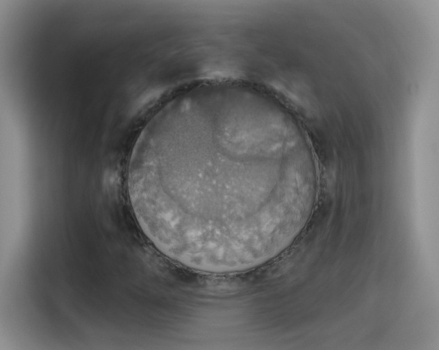 X0000115421254200911101624