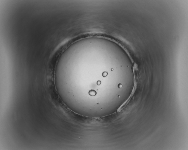 X0000115421255200911101624